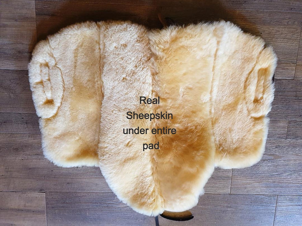 Thumbnail: Universal Short Saddle Pad