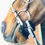 Thumbnail: Mattes Curb Chain Covers