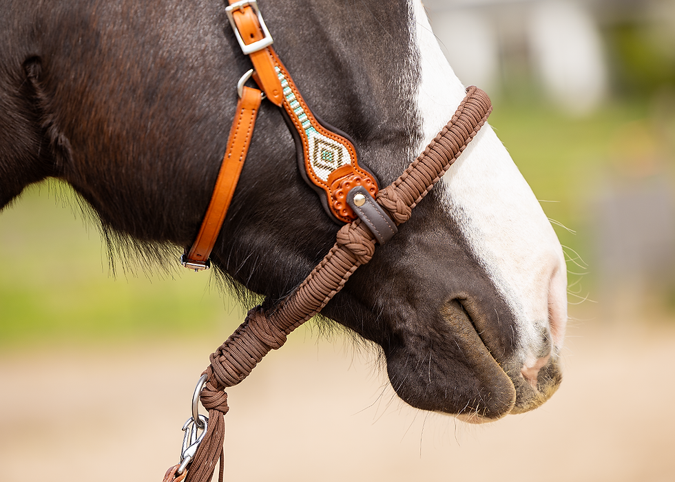 Thumbnail: ED3 Brightstar Western Bridle