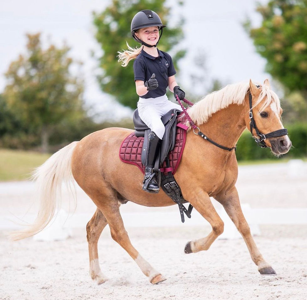 Thumbnail: EDIX Tudor Kids Dressage Saddle