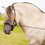 Thumbnail: Edix Refine Long Reins