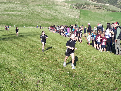 Riversdale School Newsletter Term 2 Week 5