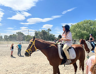 advanced adaptive riding