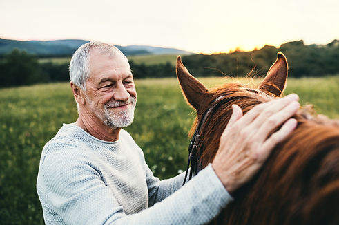 AdobeStock_223340644.jpeg