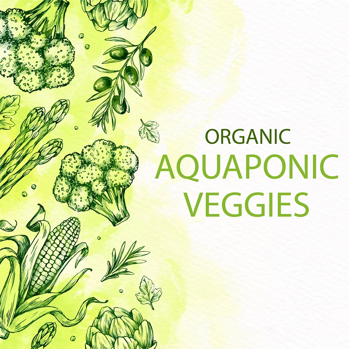 ORGANIC AQUAPONIC