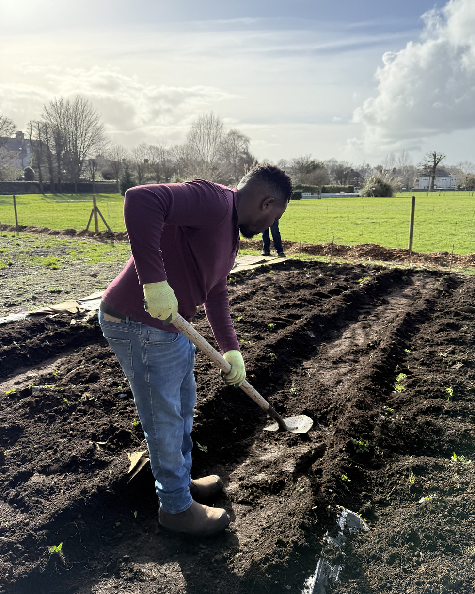 The Transformation Journey 