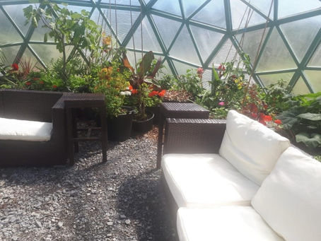 Our Garden's Journey