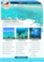 Exuma Day Trip FROM Black Point & Staniel Cay