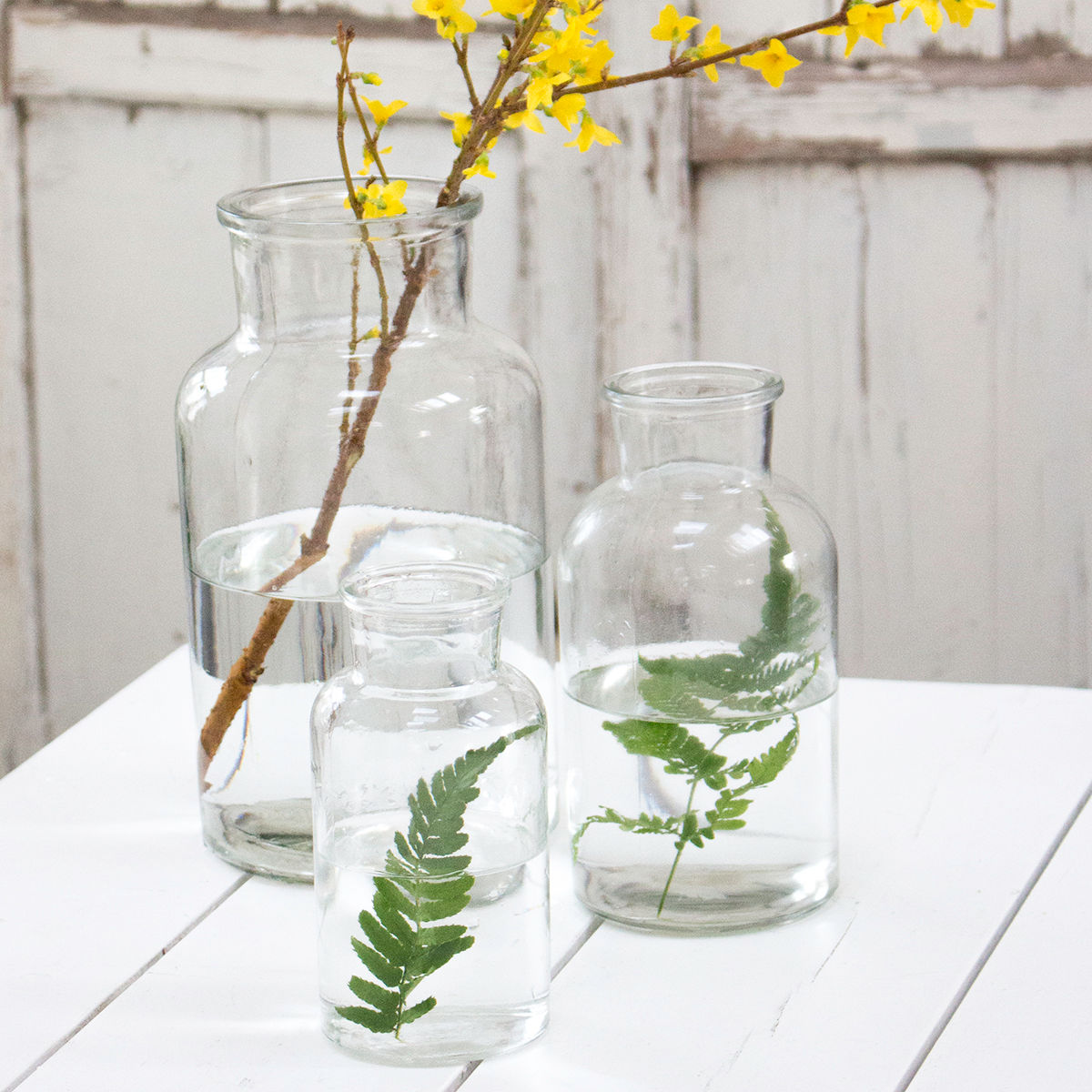 Glass Jar Vases