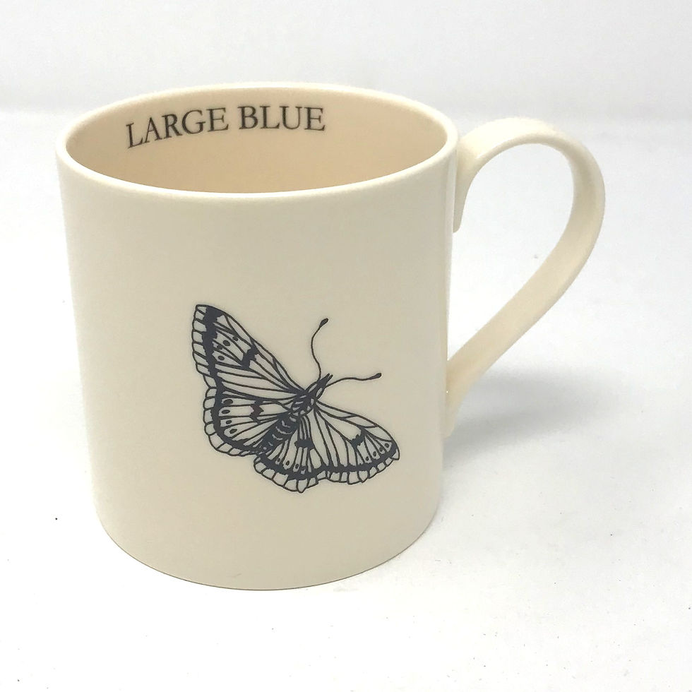 Thumbnail: Modern Botanicals Insect Mugs