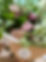 IMG_6410.JPEG