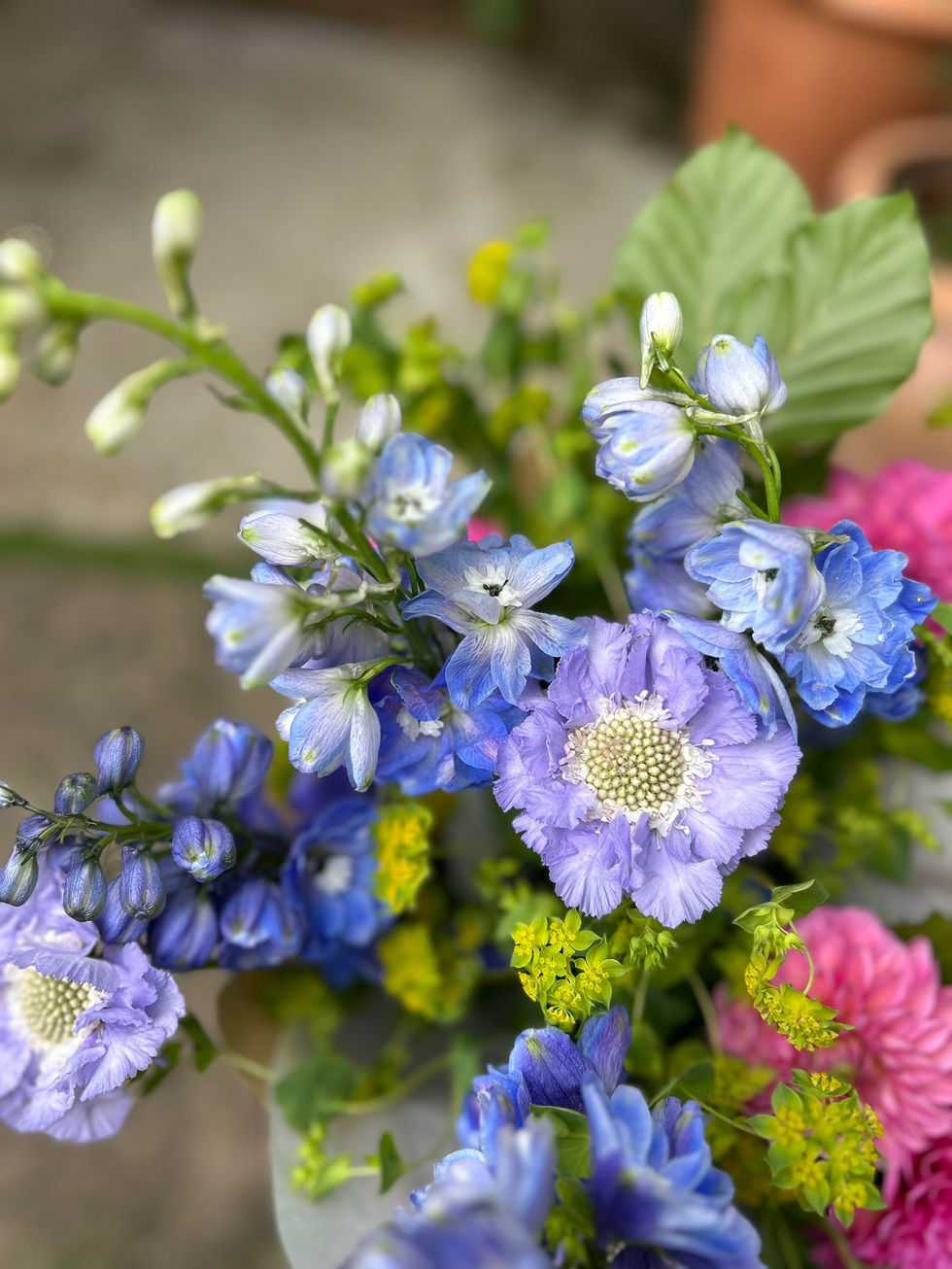 WhatsApp Image 2024-08-30 at 11.14.36_5c76d3b9