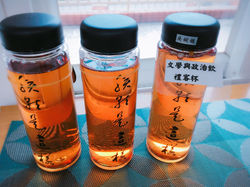 File_005