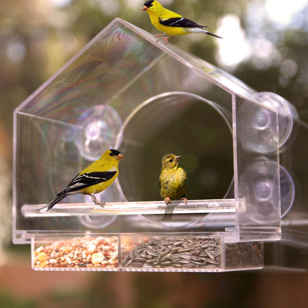 Thumbnail: Clear Plastic Window Bird Feeder