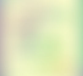 What are you giving attention to?