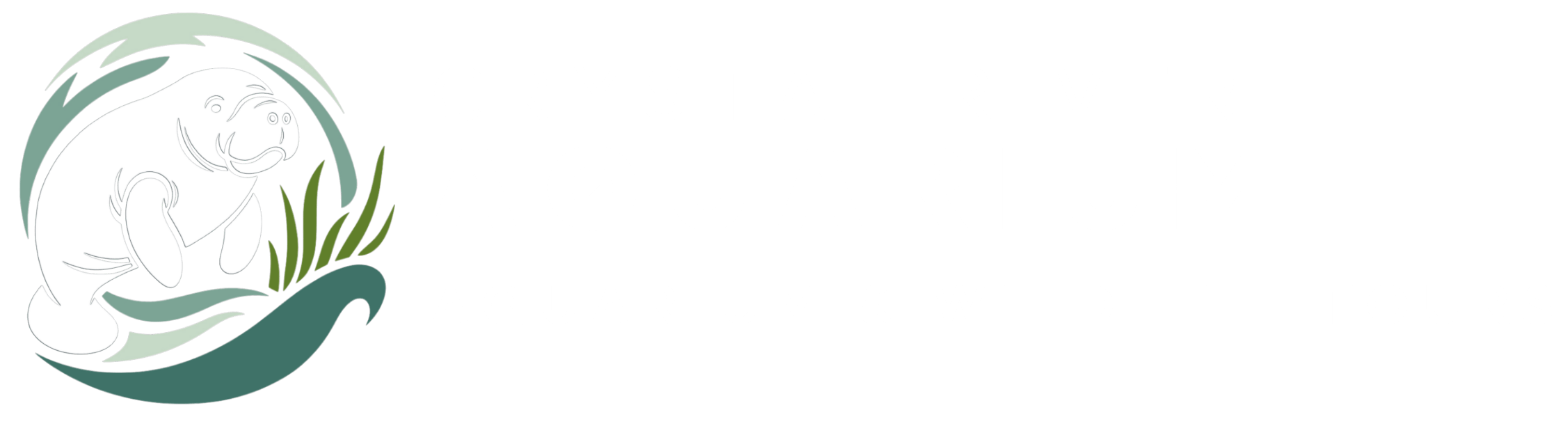 5 (1).png