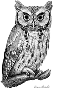 944c86c8-e296-4ca1-911d-0b7518e61442.png
