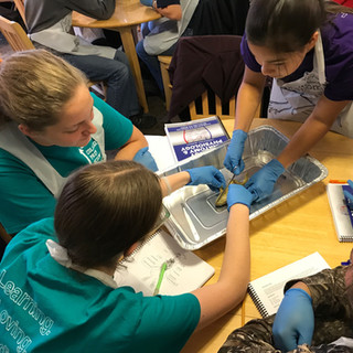 Homeschool Science Biology & Chemistry Two Day Lab Intensives - Eldora, Iowa