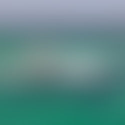 Atlantis Submarines Barbados