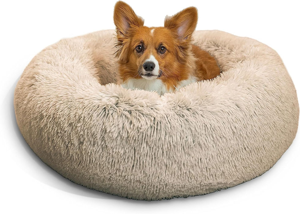 Thumbnail: The Original Calming Donut Cat and Dog Bed