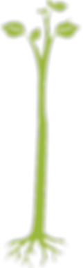 tree.png