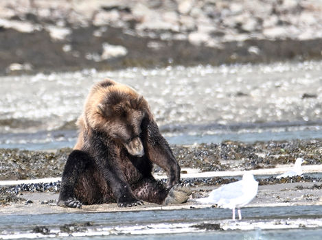 Itchy toe-DeNoiseAI-severe-noise.jpg