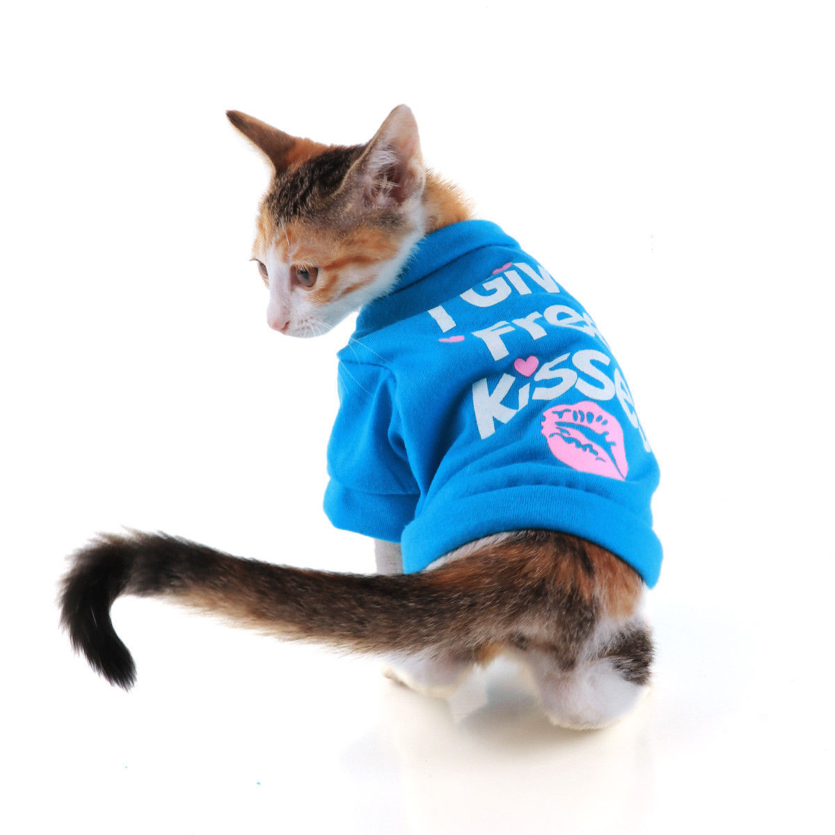 I Give Free Kisses Shirt