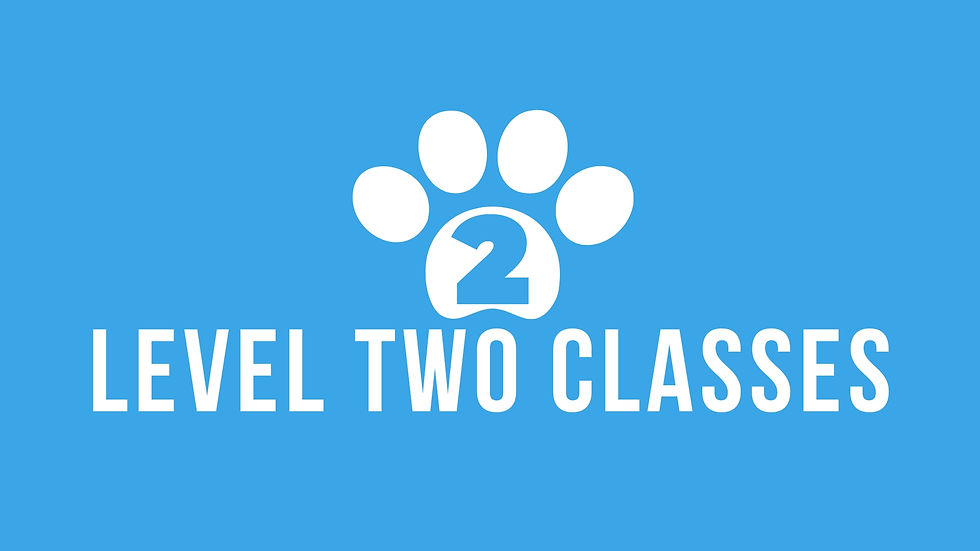 LEVEL TWO - GROUP TRAINING CLASSES