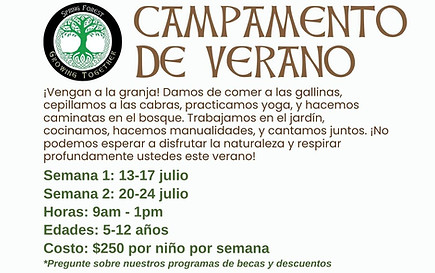 2026 campamento de verano.jpg