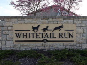 Spring 2019 Newsletter