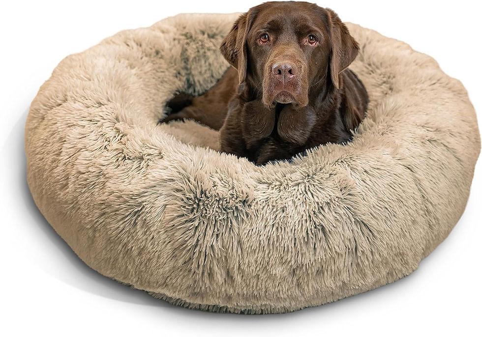 Thumbnail: The Original Calming Donut Cat and Dog Bed