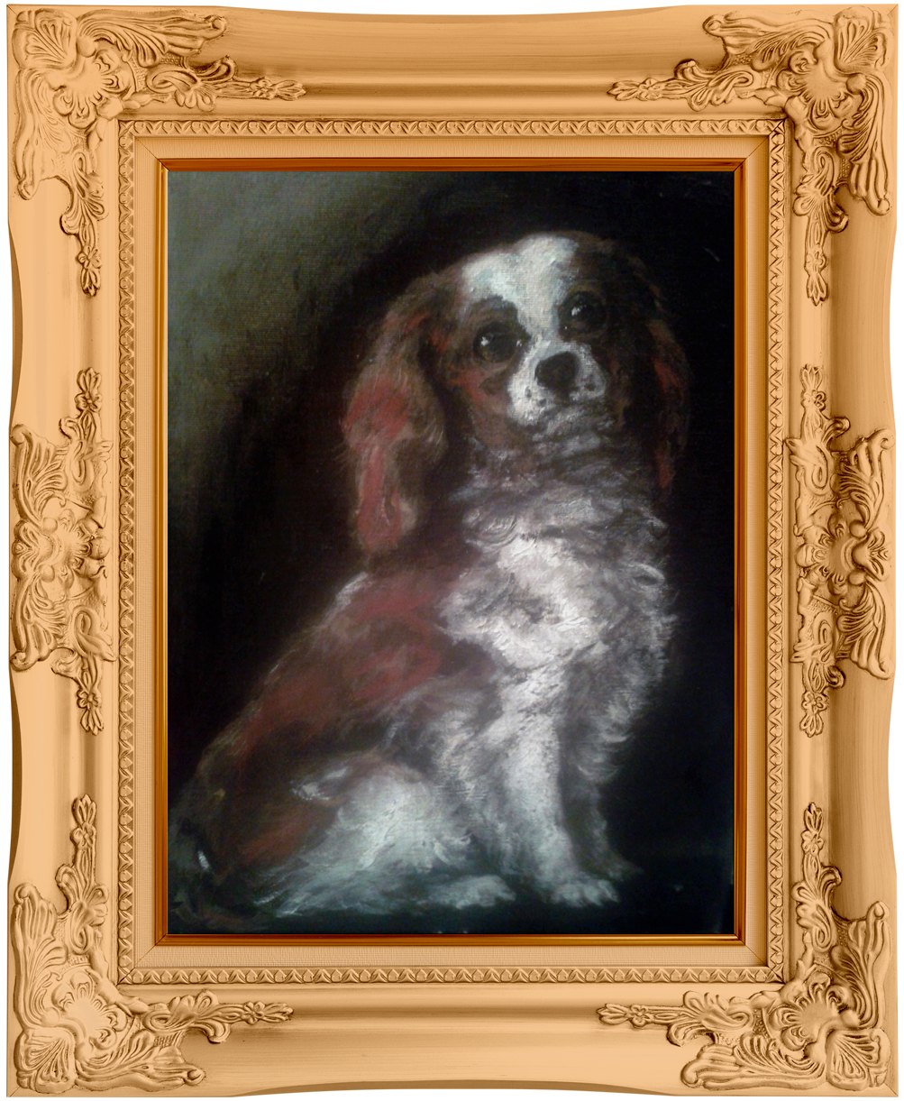 King Charles Spaniel