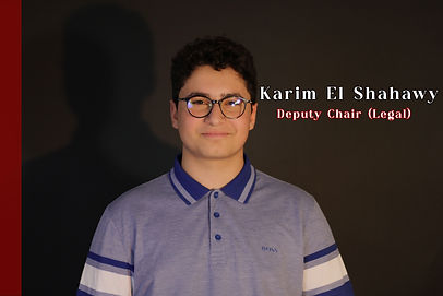 Karim El Shahawy copy.jpg