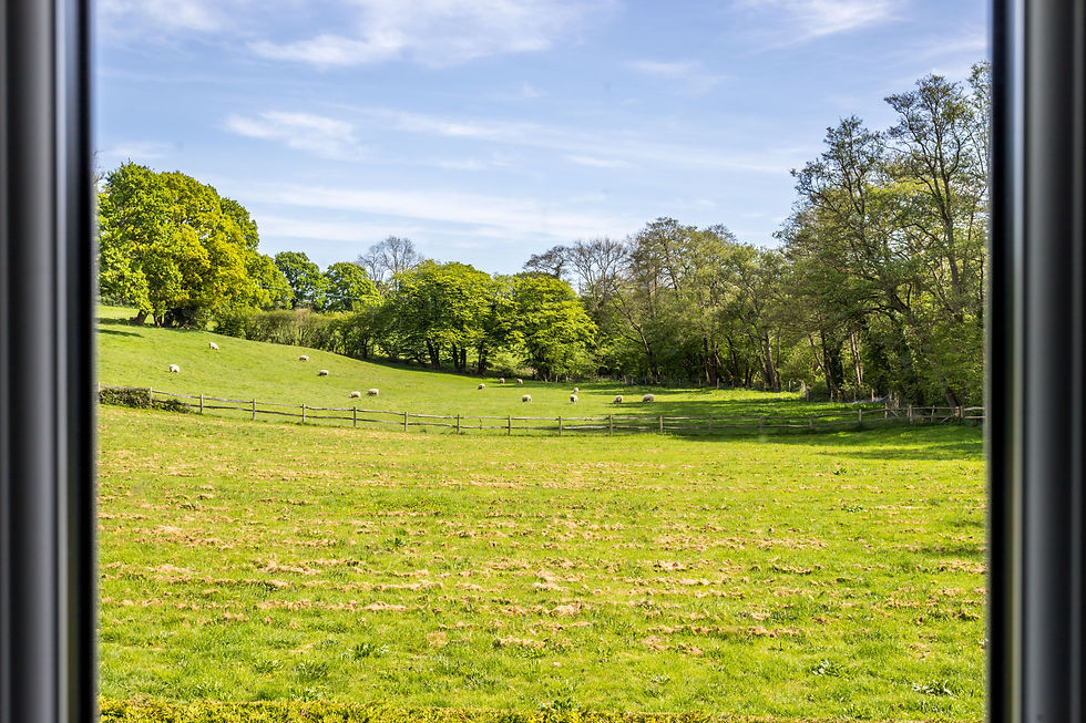 South facing window with views of fields.