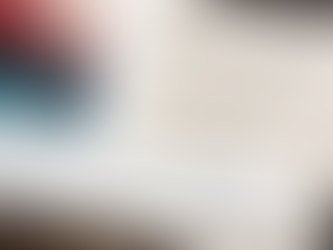 Close-up of a signed and numbered limited edition art print with certificate of authenticity.