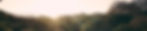 Sunset_edited.jpg