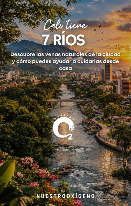 Alimento Integral con imagen EBook.jpg