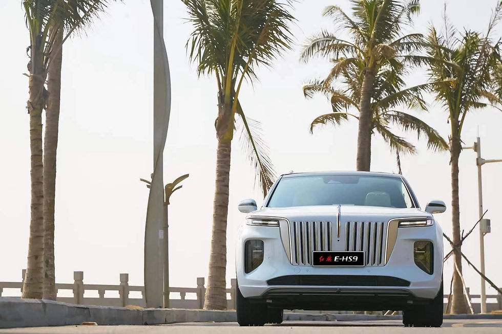 الصورة المصغرة: 2024 Hongqi E-HS9