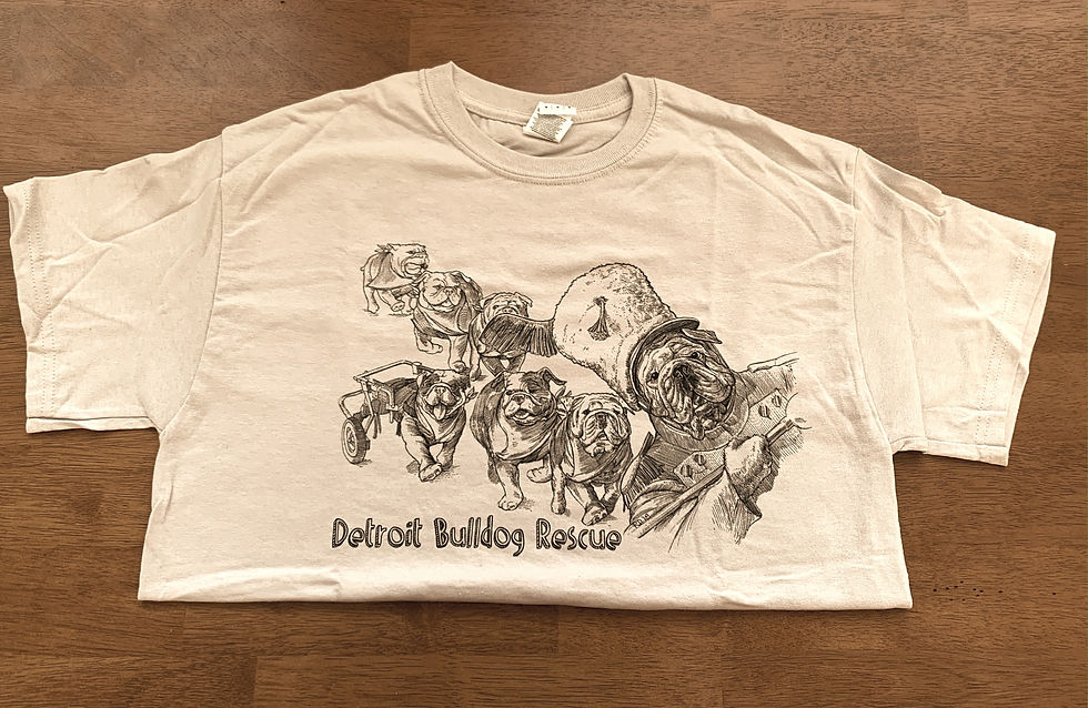 Thumbnail: DBR Parade Of Rescue's Shirt