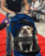 2024 DBR Parade of Rescues