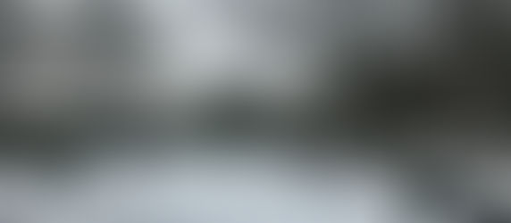 TIBS 2026 in Aarhus: Connecting Biogeography, Culture, and Colleagues