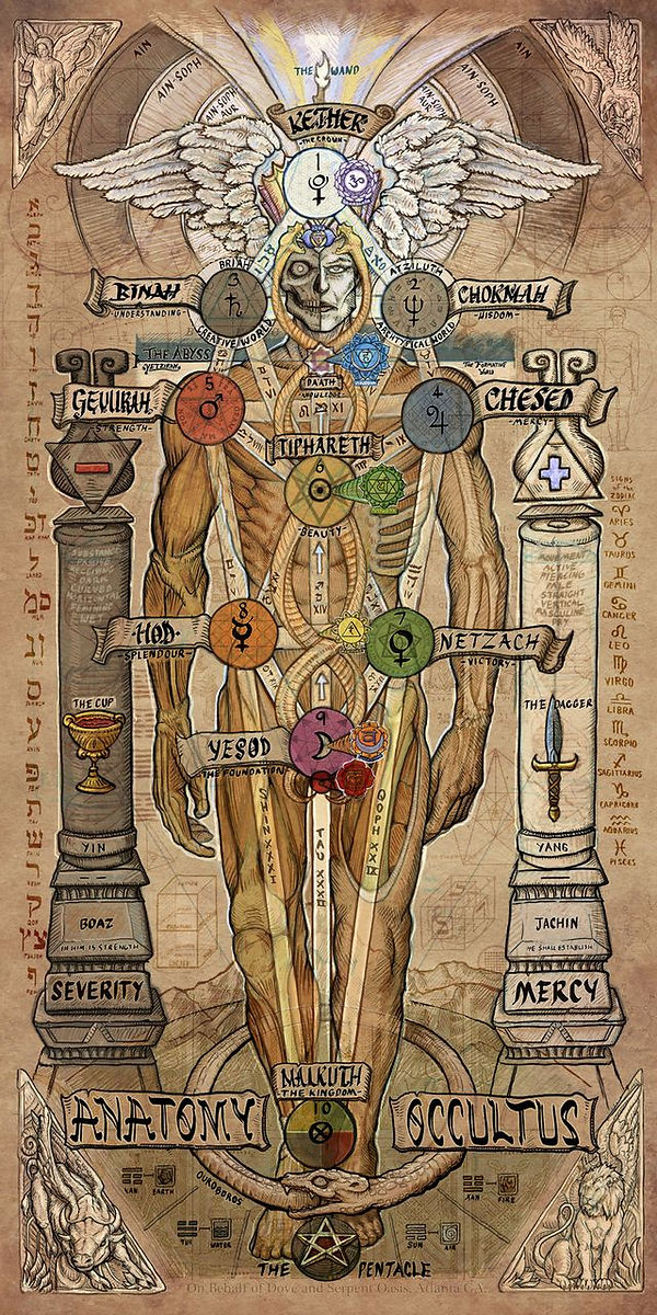 Occult Anatomy.jpg
