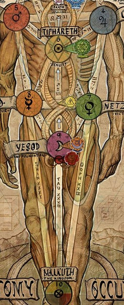 Occult Anatomy_edited.jpg