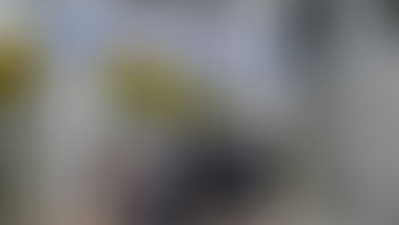 이지은 학생 졸업논문 발표회 최우수상 수상