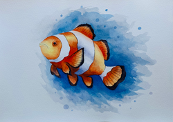 ④ Clownfish Part 1