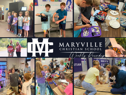 MCS Update | Nov. 15
