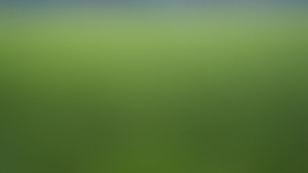 World Cup Natural Grass at NFL Stadiums Puts Artificial Turf Under Scrutiny — And Players Are Speaking Loud and Clear
