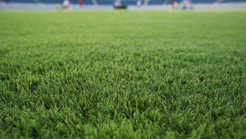 World Cup Natural Grass at NFL Stadiums Puts Artificial Turf Under Scrutiny — And Players Are Speaking Loud and Clear