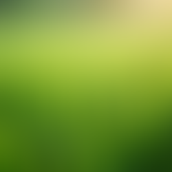 Water-Saving Lawn Care Tips: How to Save Water While Caring for Your Lawn
