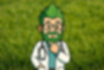 Whose Responsibility Is It If the Sod Dies — Mine or the Installer’s?